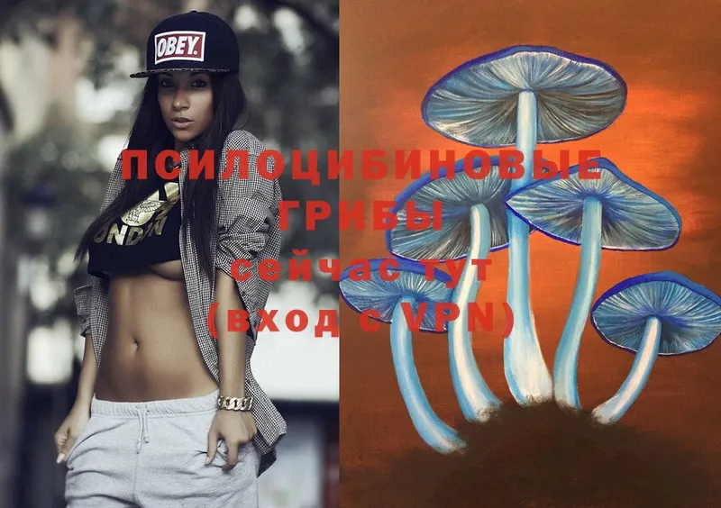 Галлюциногенные грибы Magic Shrooms  Бирюч 