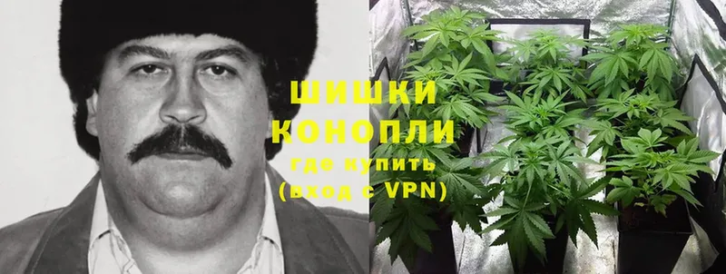 Бошки Шишки Ganja  Бирюч 